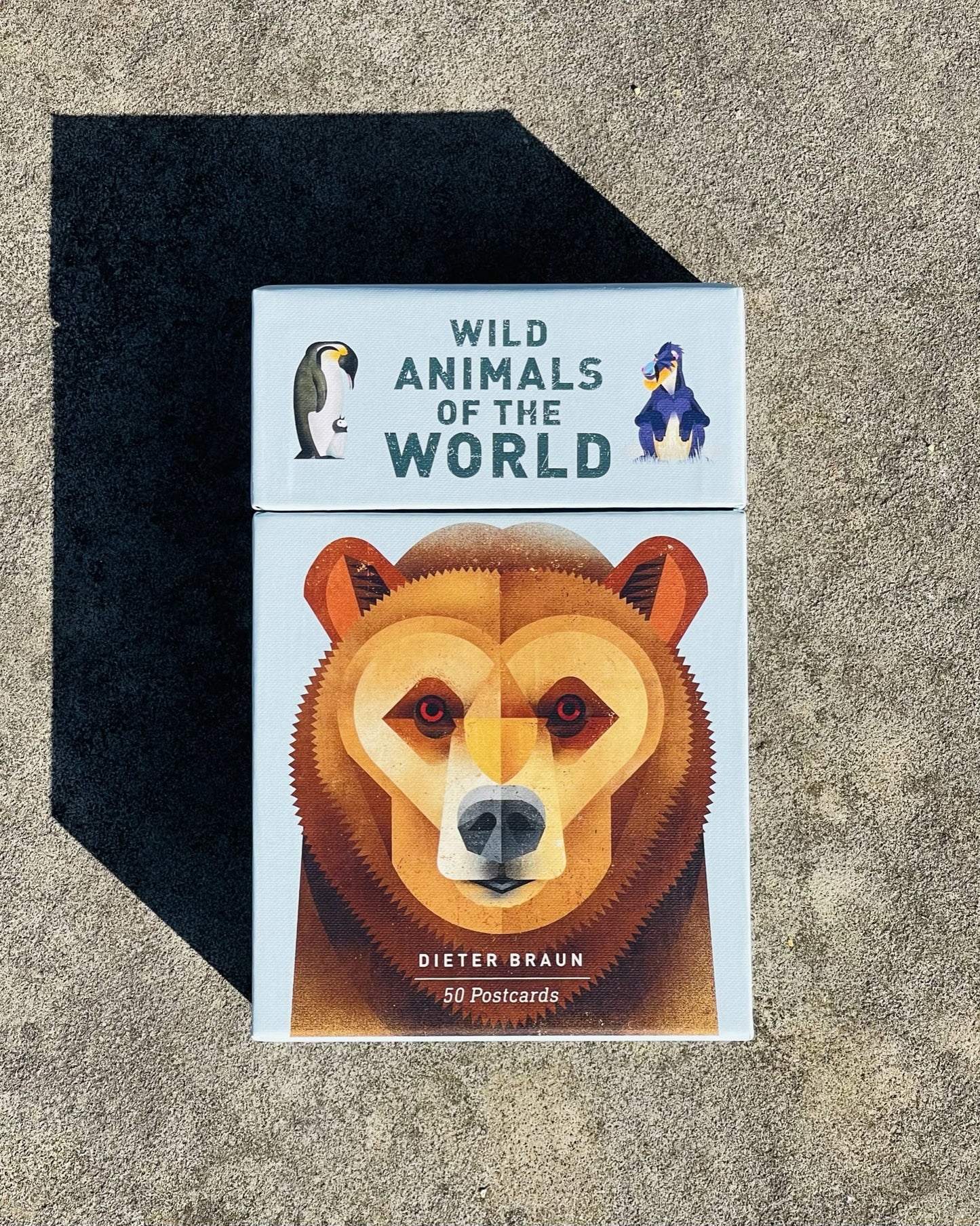 Wild Animals of the World: 50 Postcards