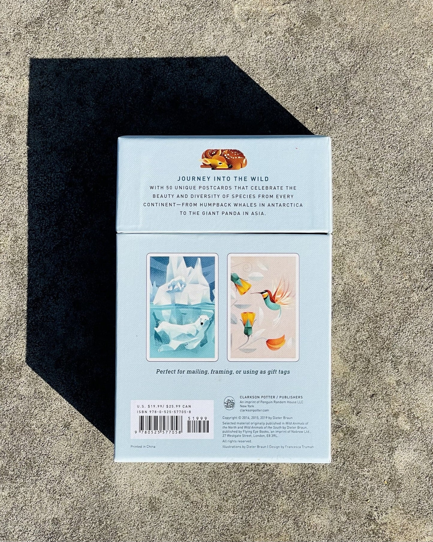 Wild Animals of the World: 50 Postcards