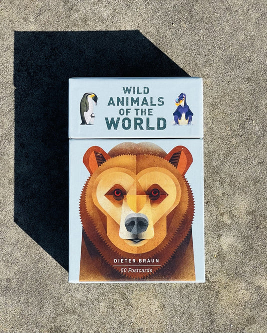 Wild Animals of the World: 50 Postcards